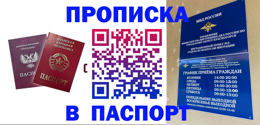 временная регистрация недорого в Щёлкино